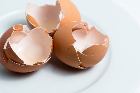 Plumber Surprise AZ | Cracked open egg shell | Pridemark Plumbing